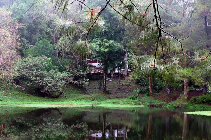 Selva-Negra-5-720x480